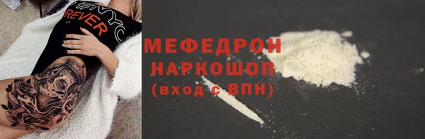 стаф Алексин