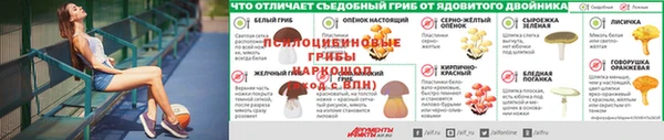 стаф Алексин