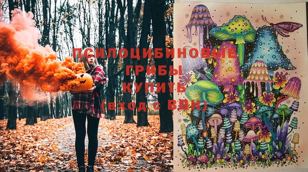 стаф Алексин